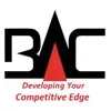 BUSINESSASIA CONSULTING PTE. LTD.