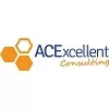 ACEXCELLENT CONSULTING PTE. LTD.