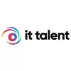 IT Talent Solutions